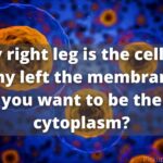 Cell membrane pick up lines