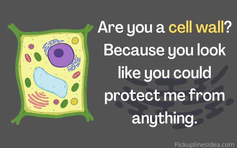 Cell wall pick up lines