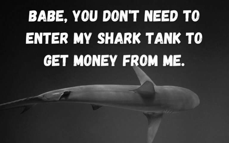 22+ Shark Pick Up Lines [Funny, Dirty, Cheesy] (new)