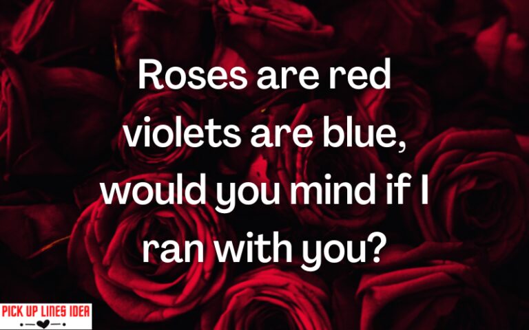 Roses Are Red Pick Up Lines (50+)